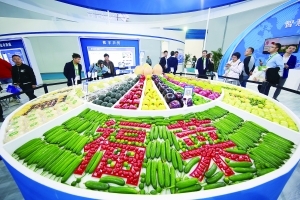 买家卖家"双丰收"--第十七届中国国际农产品交易会走笔